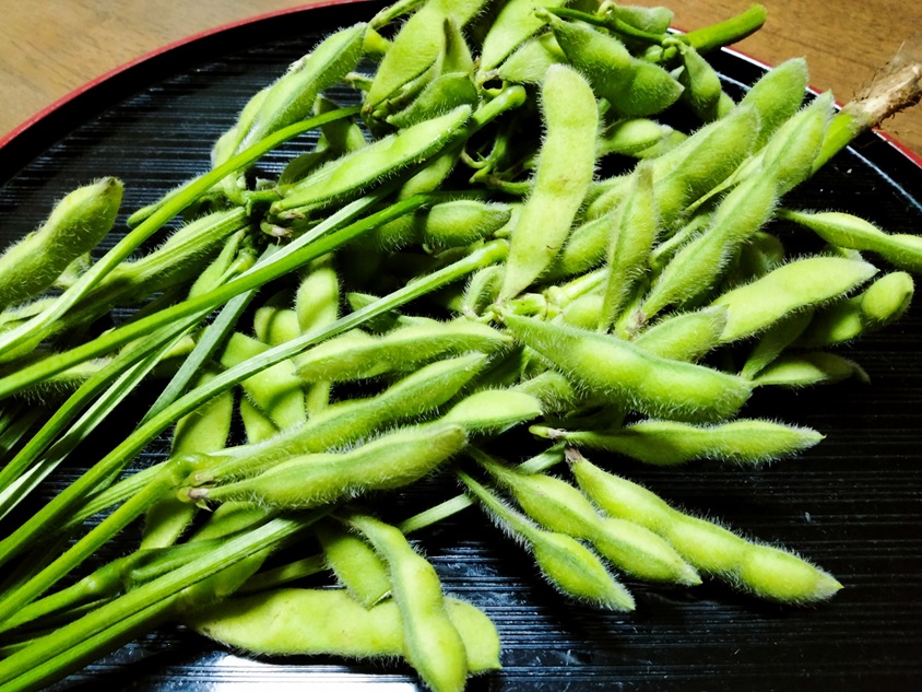 枝豆の薄皮は剝く？剝かない？それぞれの場合のメリットや美味しい茹で方を紹介！ | あれやこれや疑問を解決！